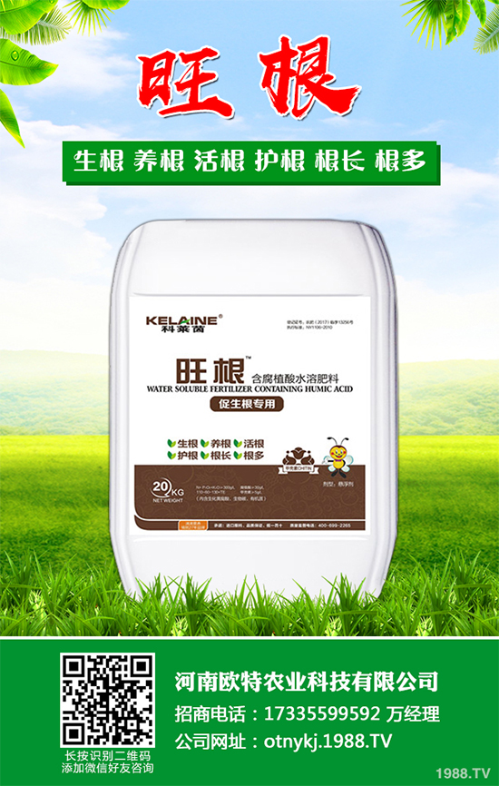 Ģ���Nֲ��Ҫʲô�l����Ģ���Nֲ�h(hu��n)��Ҫ��