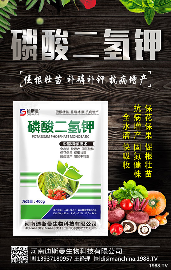 ������ô�Nֲ�������Nֲ�������ճ�����������