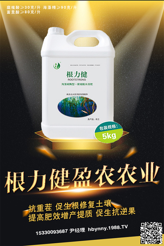     ������ȥ�������_�����_���Ϸʣ�ע�⡰���ɡ�