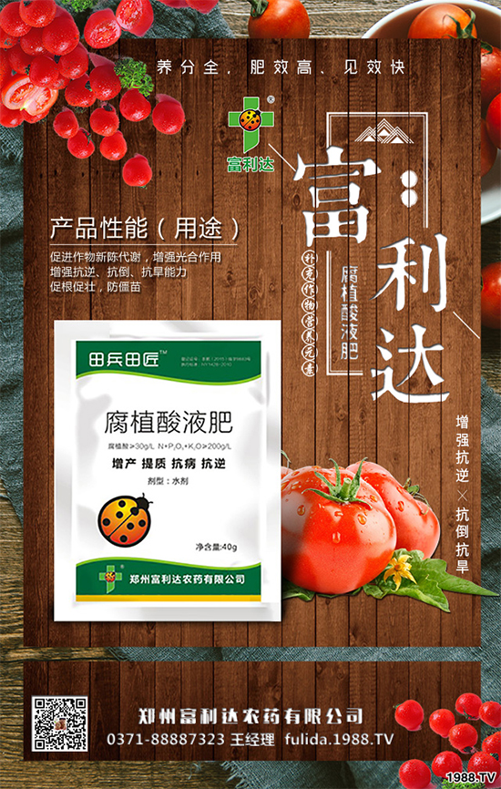 �Nֲʲôˎ����ٍ�X��2020����ˎ�ķNֲǰ������