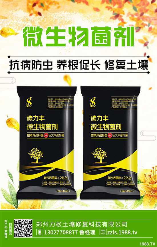 �Nֲʲôˎ����ٍ�X��2020����ˎ�ķNֲǰ������