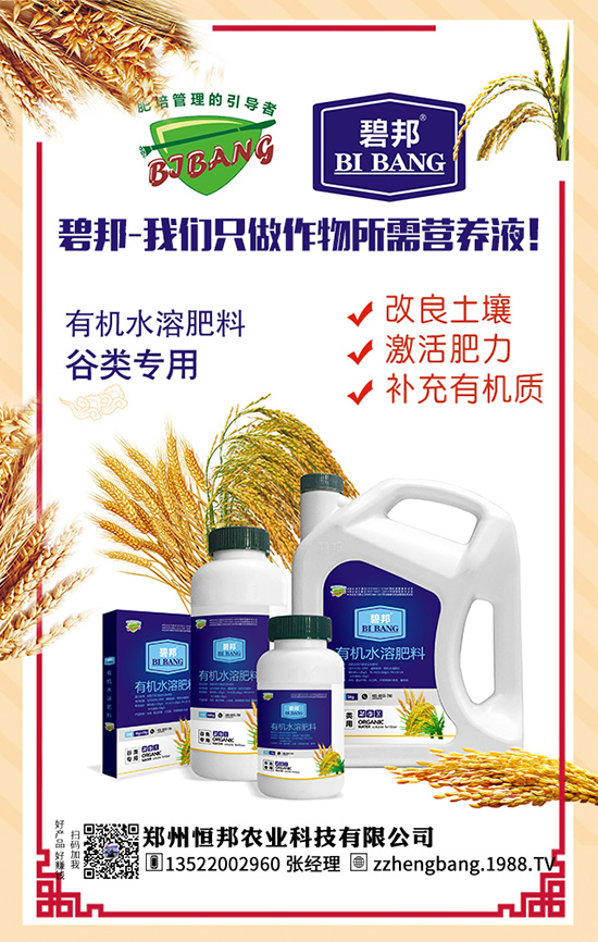 ����������Щ��̎������Ĺ�Ч���ü�ʳ�ý���