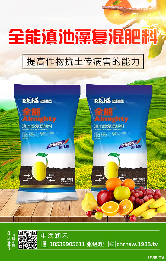 ���r����͸���������Щ�^(q��)�e���ǂ�(g��)Ч��������