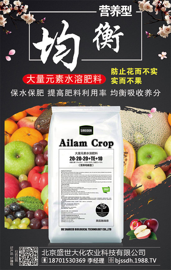 2020��Ԫ���������׷ʃr���ϝq�ˆ᣿2019��12�µ������׷������Ӎ��