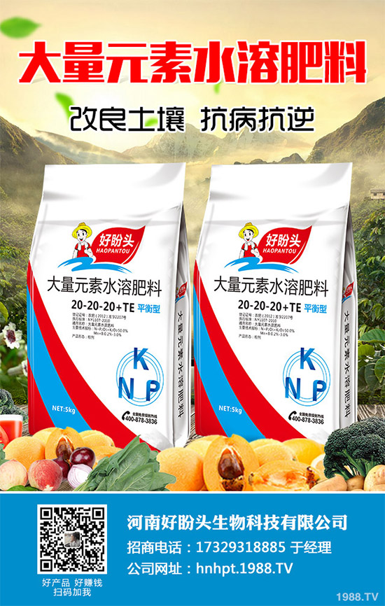 ������֪���Ľ�ɏ���p���ų����w11�N���أ�