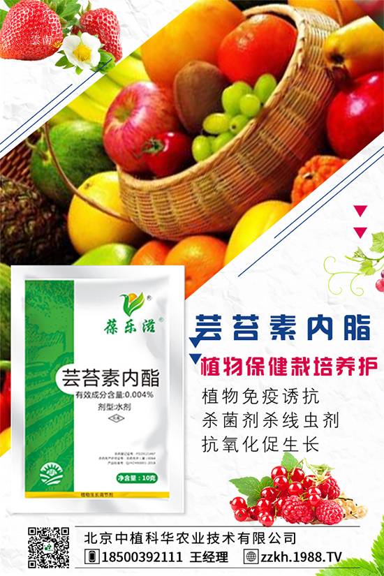 �ʽ�ʲô�r(sh��)�g�Nֲ���ʽ��ĸ߮a(ch��n)�Nֲ������