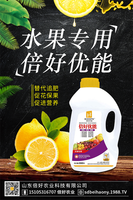 ľ��������Щ�I(y��ng)�B(y��ng)�r(ji��)ֵ��ľ���˵Ĺ�Ч����