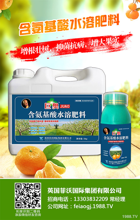 �҇��Ϸ�ԓ���ӷNֲ�{ݮ���{ݮ�߮a(ch��n)�Nֲ���g(sh��)Ҫ�c