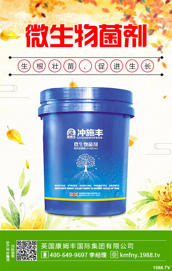 �҇��Ϸ�ԓ���ӷNֲ�{ݮ���{ݮ�߮a(ch��n)�Nֲ���g(sh��)Ҫ�c