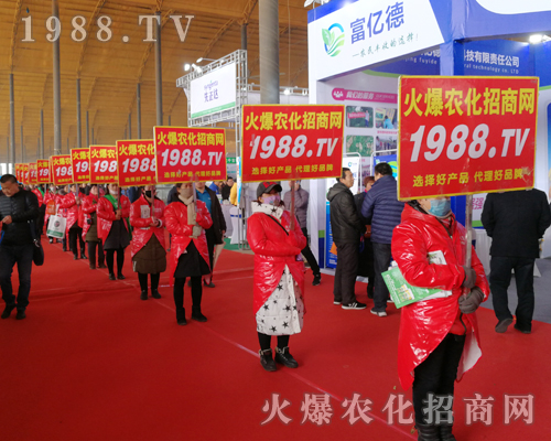     2019�ӱ�ʯ���fֲ�����ϻ��r(n��ng)���W(w��ng)��Ӣ�ɳ�������(zh��n)����