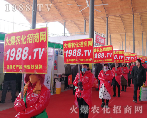     ���r(n��ng)�����̾W(w��ng)��2019�ӱ�ʯ���fֲ�����ϻ���ȫ�_��