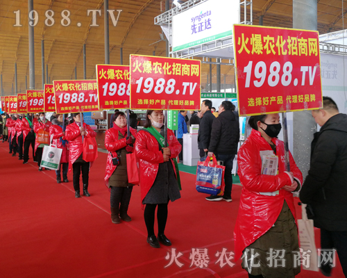     2019��30�úӱ�ֲ���������r���WҊ�C�ИI(y��)ʢ���ل�(chu��ng)�ѿ���