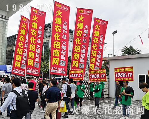     2019�����r(n��ng)�Y���[�������cͻ�@��1988.TV�ɽ��c