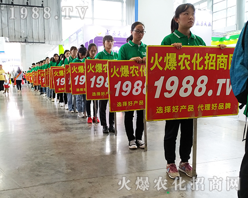     ���r���W2019��16�������r�Y���[����(zh��n)���x��