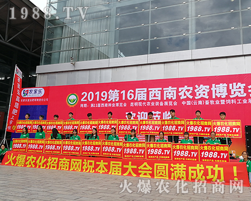     �r���W��С�����2019�����r�Y���[����������