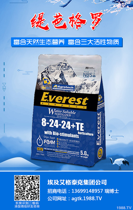 ����ʲô�r�g�������������緽��