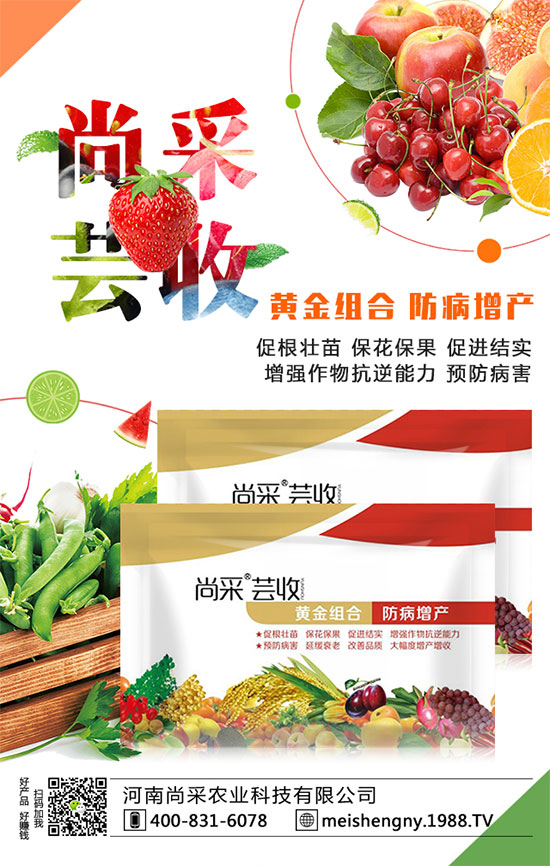 ���������ʵ͵�ԭ����ʲô�أ�������������������