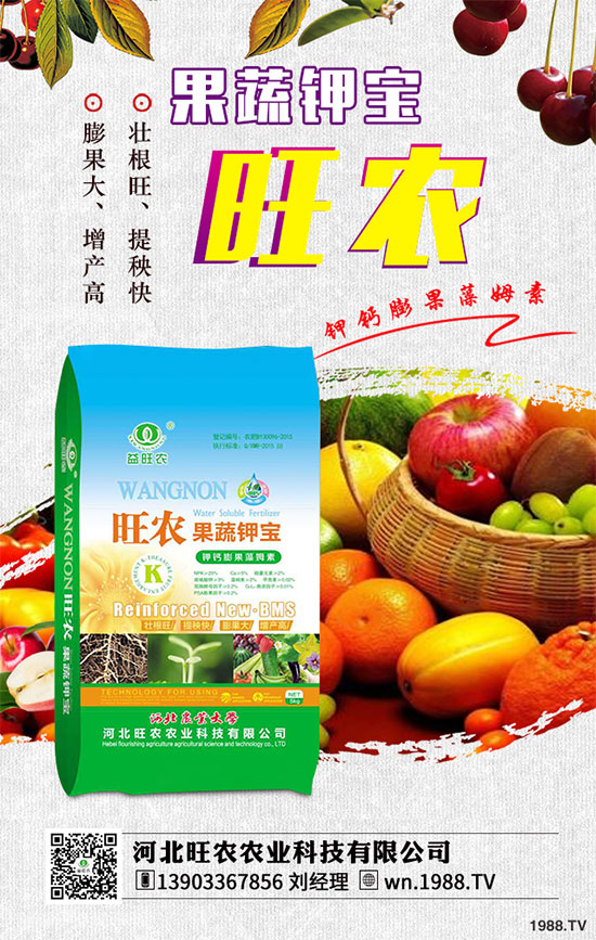 ��������ķNֲ�r�g������������������Ҫ�c����Щ��