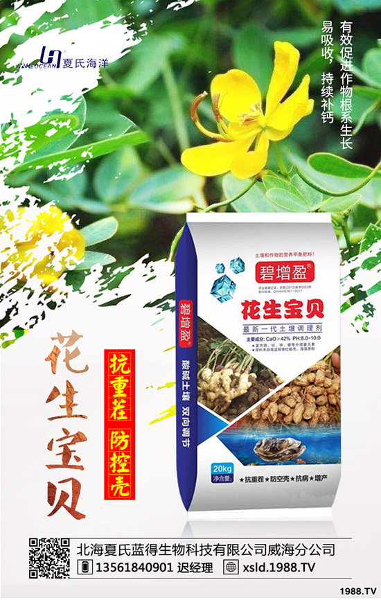 ���{(l��n)���Nǰ����������{(l��n)���߮a(ch��n)�NֲҪ�c(di��n)��