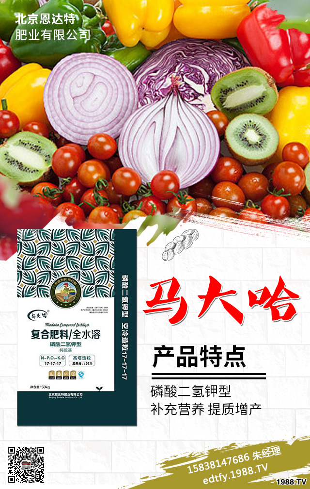 �����߲�ʩ���д�����Щ���}�������߲˷Nֲ���g(sh��)