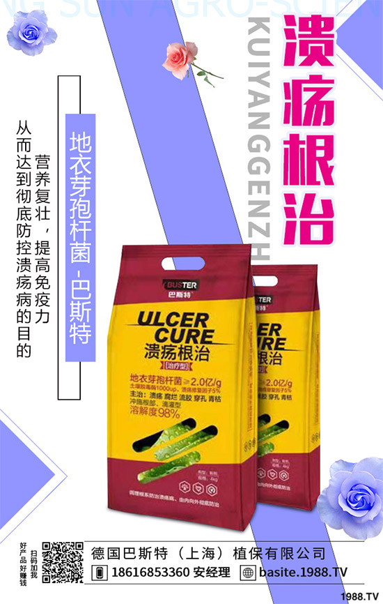 ������һ���Ǽ�(x��)���Բ��������e���e����Ƚ���������������ɷ����Ν�������