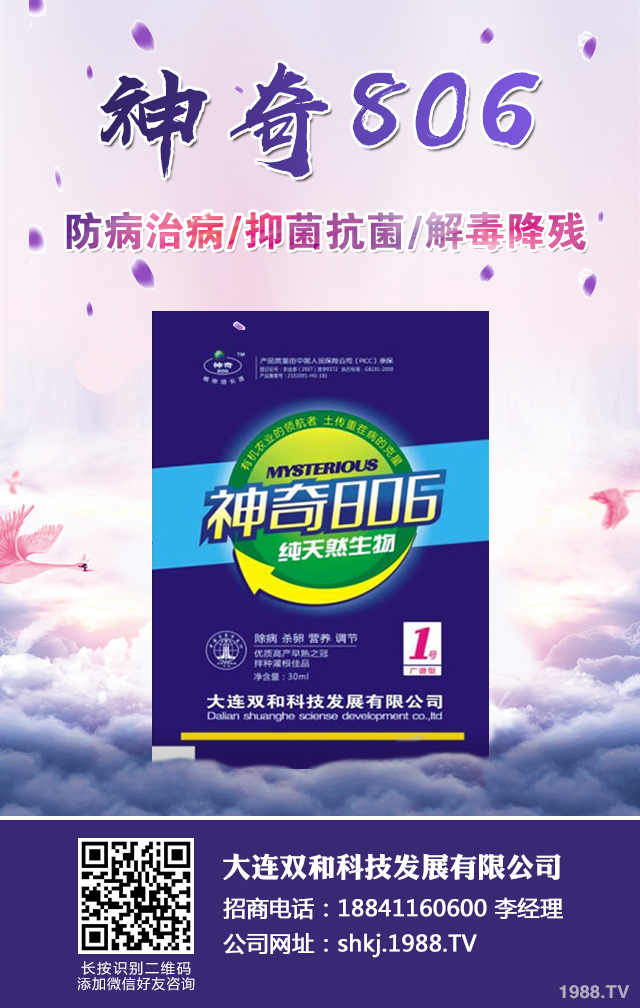 �������x����N���ò������������x����N����B