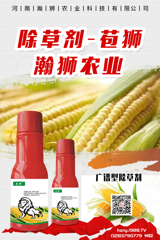 �������x����N���ò������������x����N����B