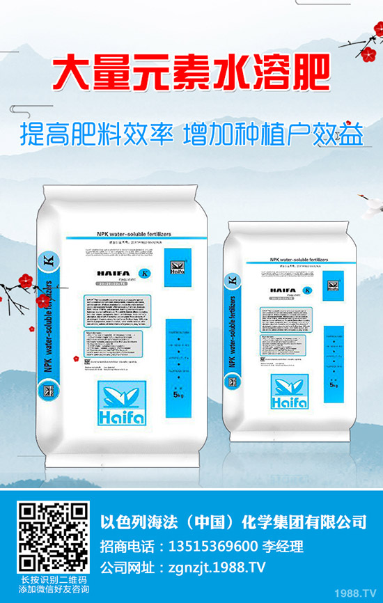     2019��9��10�ս���������(n��i)⛷��Ј�����r(ji��)���߄ݷ���