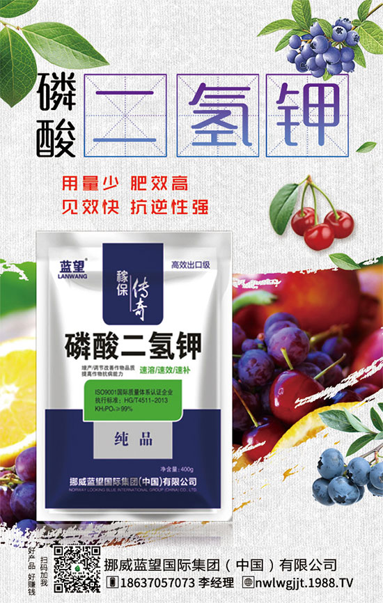 ������t����ֲע�����(xi��ng)��������t������ڹ�������