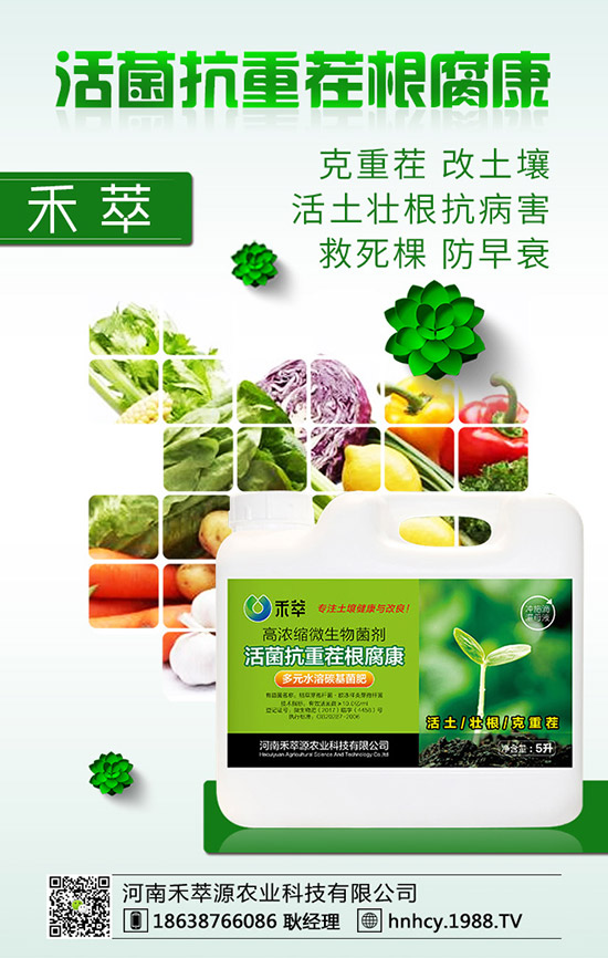 ����÷��ô�޽�������÷�޽ӷ�����