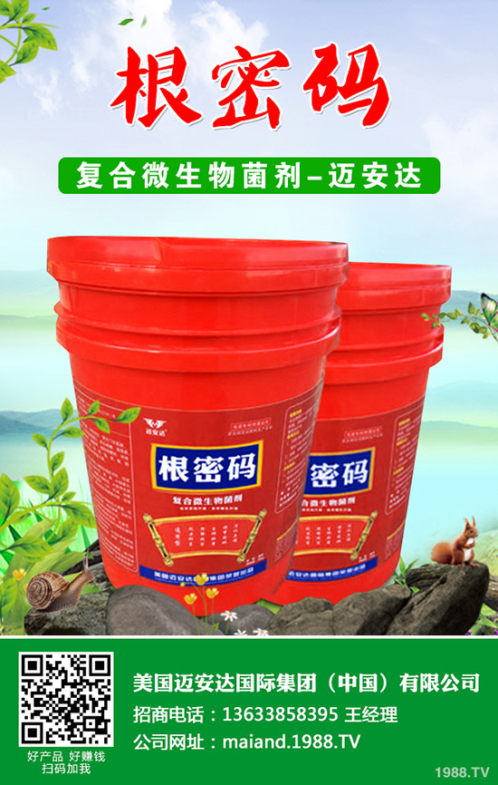 �����Jʲô�r(sh��)��Nֲ�������J�Nֲ���g(sh��)��