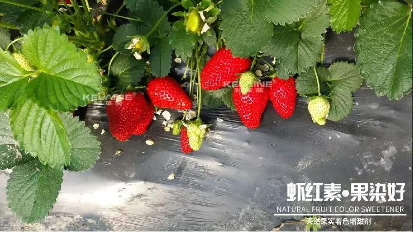 ��Ȼ������ɫ�����������r�t�ء��Ⱦ����
