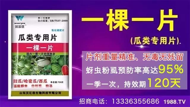 ���x���wʭ��������һƬˎ�p�ɸ㶨���A(y��)����95%����Ч�L(zh��ng)�_(d��)120����