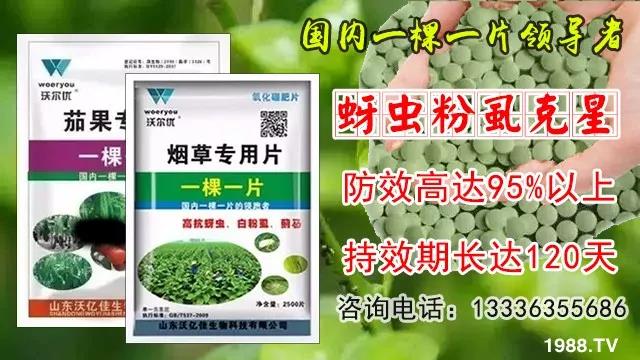 ���x���wʭ��������һƬˎ�p�ɸ㶨���A(y��)����95%����Ч�L(zh��ng)�_(d��)120�죡