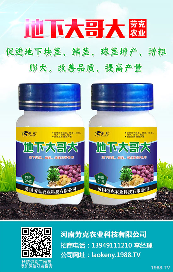 �������Щ�I�B(y��ng)�r(ji��)ֵ���Խ������Щ��̎����˵Ĺ�Ч�c����