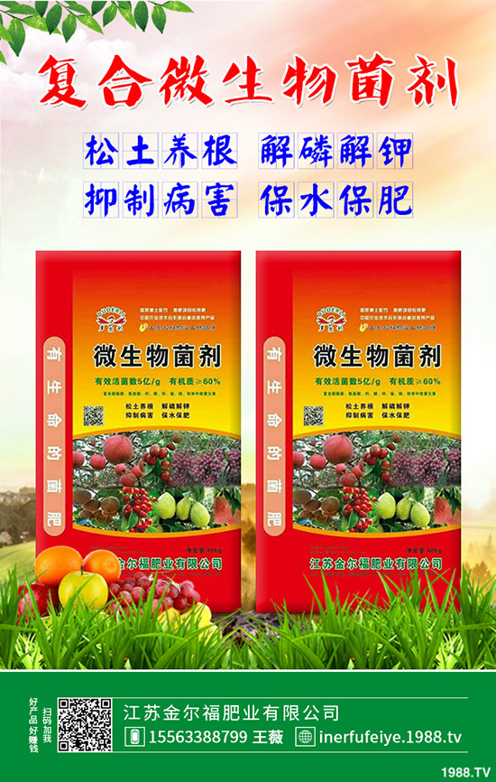 ��ɫ��Ҭ�˶����Xһ������ɫ���˷NֲЧ�������