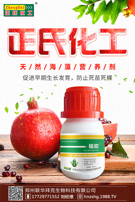 ���y����ʲô���������y���Ĺ�Ч�cʳ�ý�����