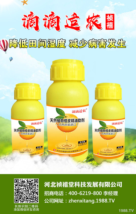 �＾��ݮ��ι������ܸ߮a(ch��n)���＾��ݮ��ֲ�������g(sh��)��