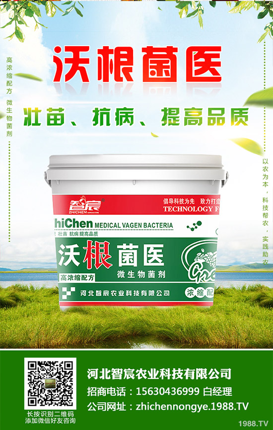 �Ծ��Ĳ�����Щ��̎�����Ĳ˵Ĺ�Ч��������