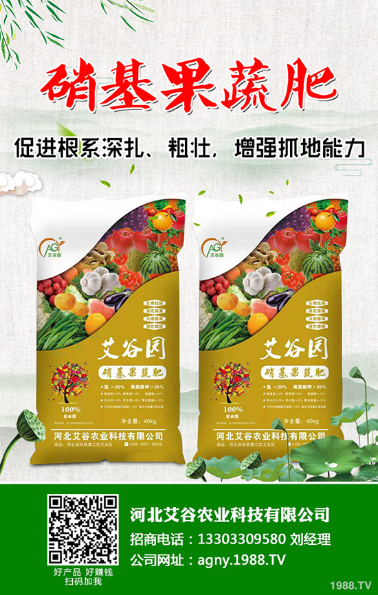 ��Ҭ���c���m���ĠI�B(y��ng)�r(ji��)ֵ��ʲô��ͬ����Ҭ�����m���ą^(q��)�e����Щ��