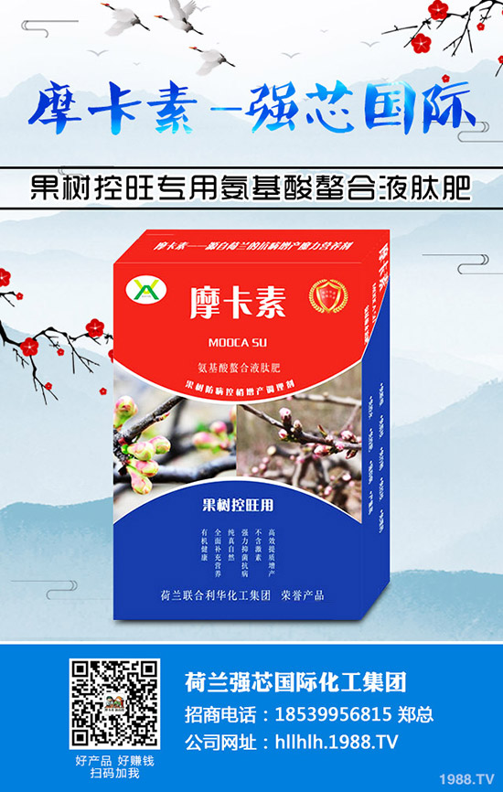 ����������Щ��̎�����ѵĠI(y��ng)�B(y��ng)�r(ji��)ֵ����Ч��