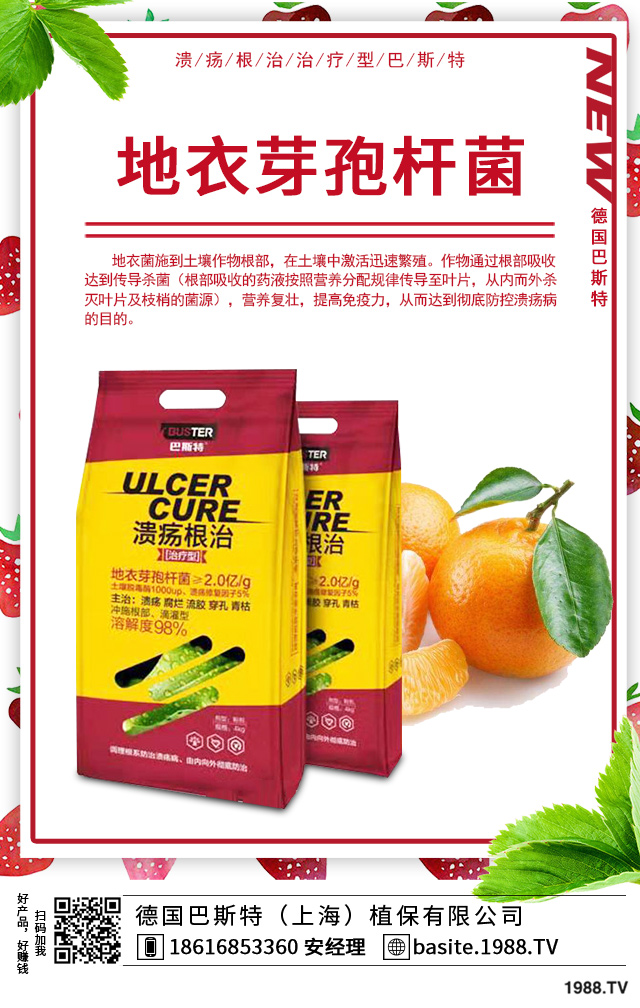 ���F���~�����ô�k�����F���~��ݲ��򼰷���