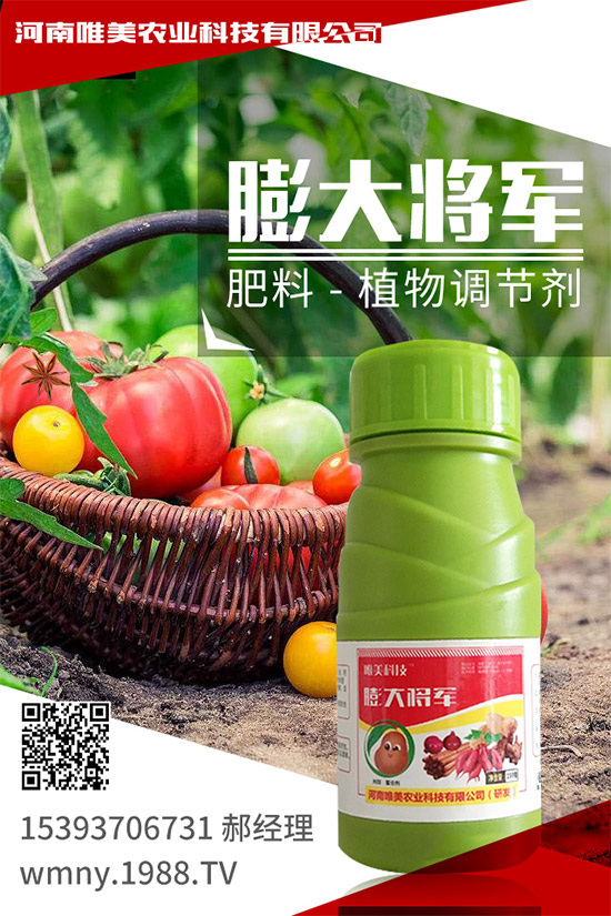 �＾���ҵĹ����(n��i)�����＾�����߲˷Nֲע�����(xi��ng)��