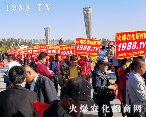 ���r(n��ng)�����̾W(w��ng)ʢ�b����2019��ʮ�����L��ֲ������