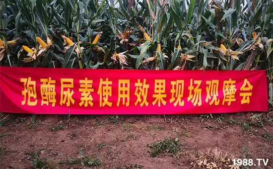 �ٿ���С�����a(ch��n)1471��pø����ȫ������(j��)�����߮a(ch��n)������(d��ng)֮�o(w��)����