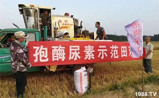 �ٿ���С�����a(ch��n)1471�����pø����ȫ������(j��)�����߮a(ch��n)������(d��ng)֮�o(w��)����