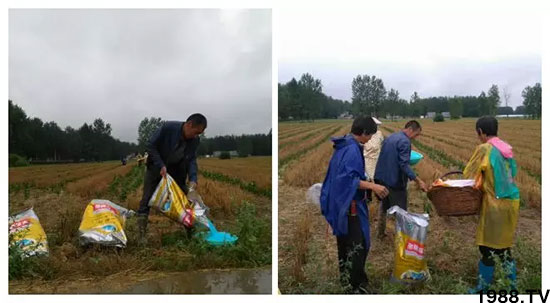 �ٿ���С�����a(ch��n)1471�����pø����ȫ������(j��)�����߮a(ch��n)������(d��ng)֮�o(w��)����