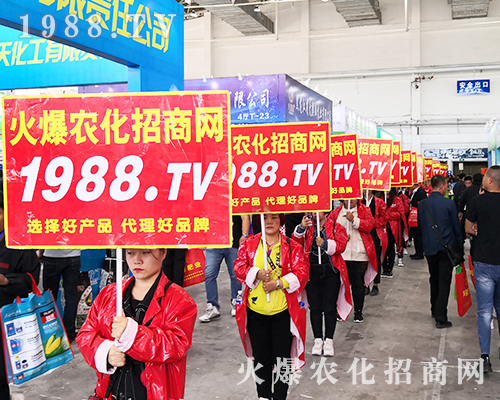 2019�L��ֲ���������r(n��ng)���W(w��ng)�����ƏV�ݲ��ɓ���