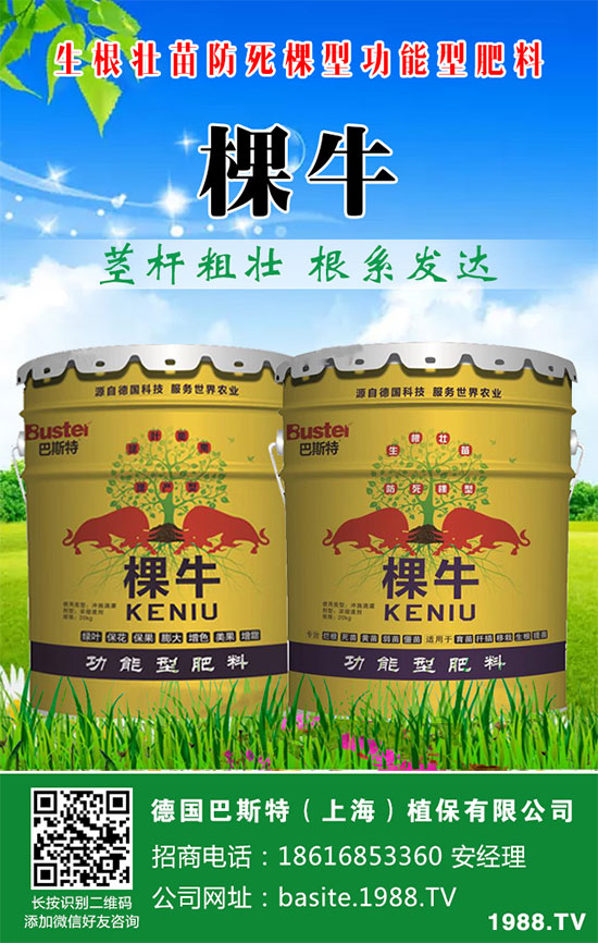 ���[���ʩ�ʣ����[�ƌW(xu��)������ʩ�ʷ�����