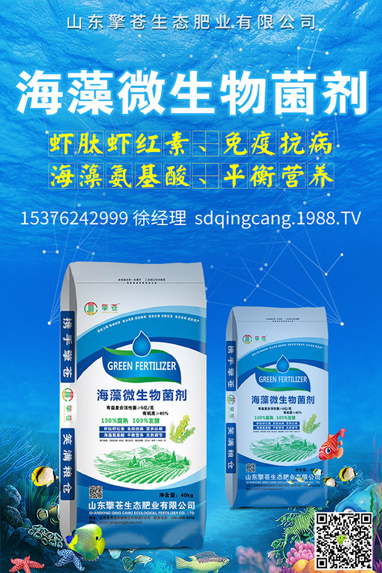     �ﶬ�}����ô�Nֲ���ﶬ�}�����N�r(sh��)�g�����g����������